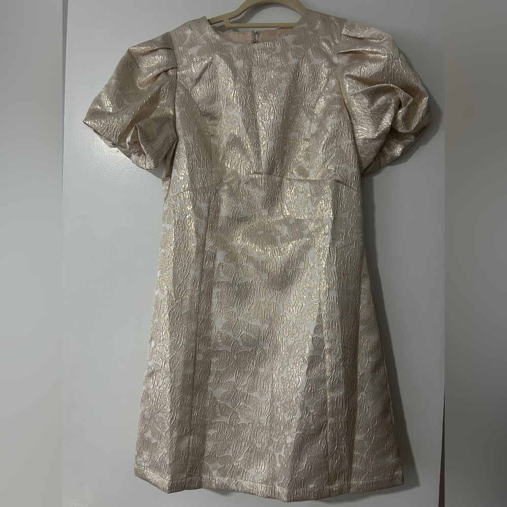 Elegant Cream Brocade Dress